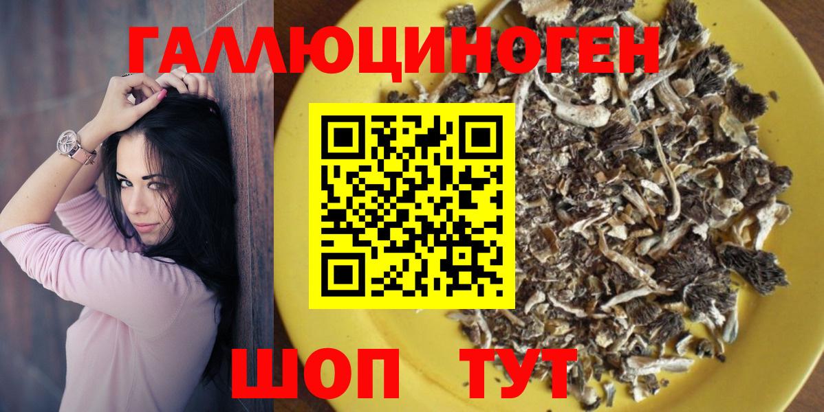 Кировск  Галлюциногенные грибы GOLDEN TEACHER  Вход с VPN 