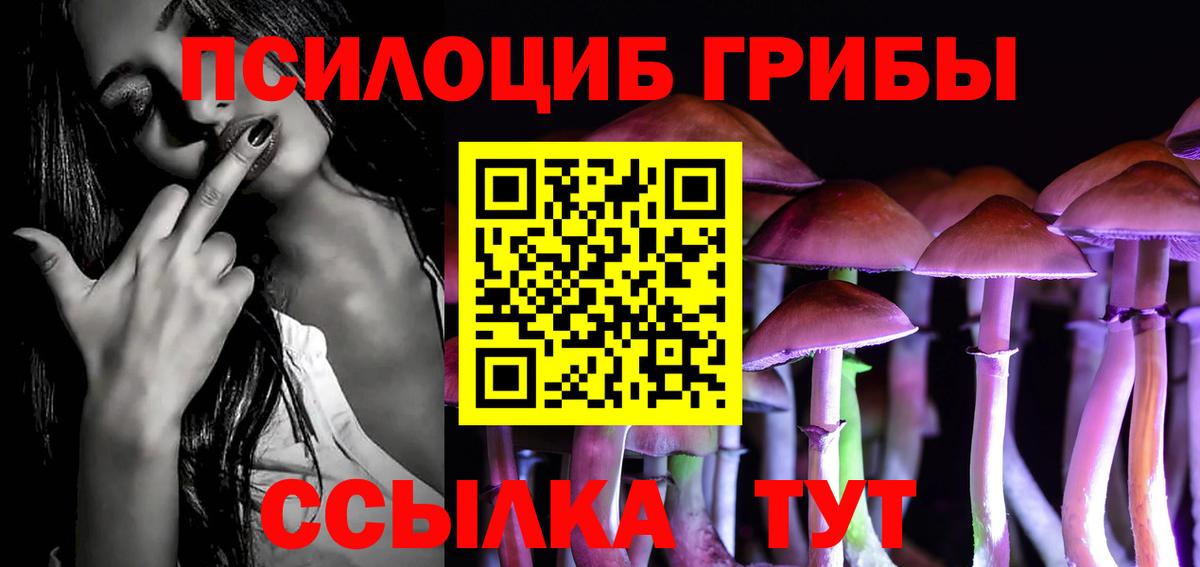 Псилоцибиновые грибы GOLDEN TEACHER Кировск